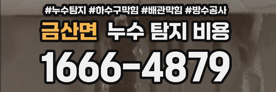 금산면 누수 탐지 비용