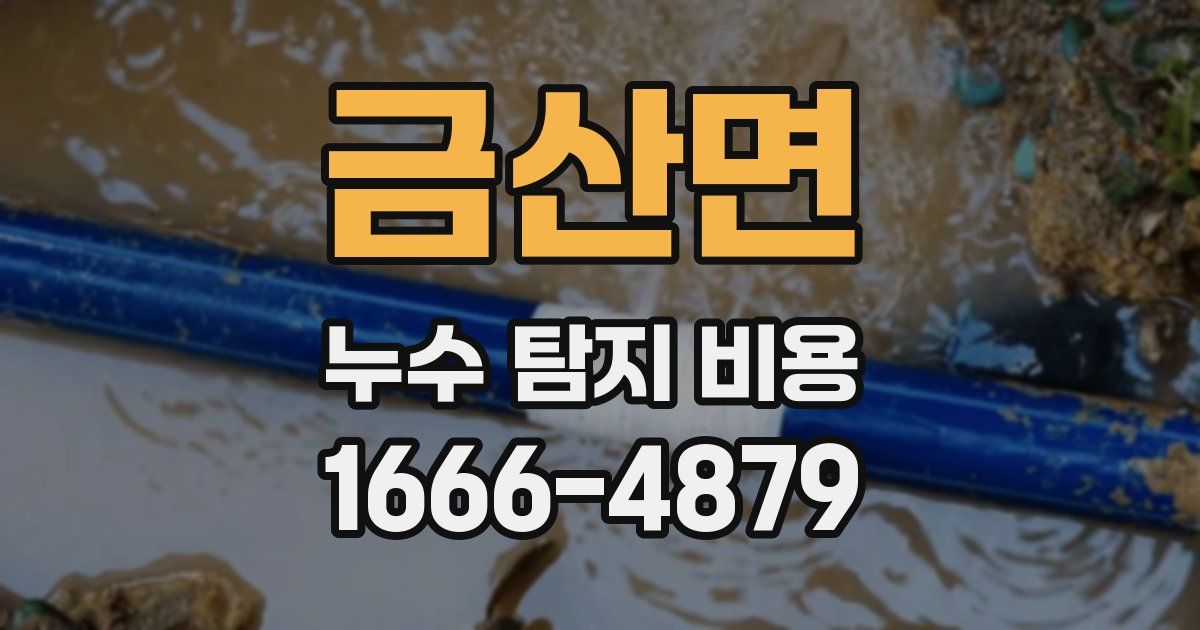 금산면 누수 탐지 비용