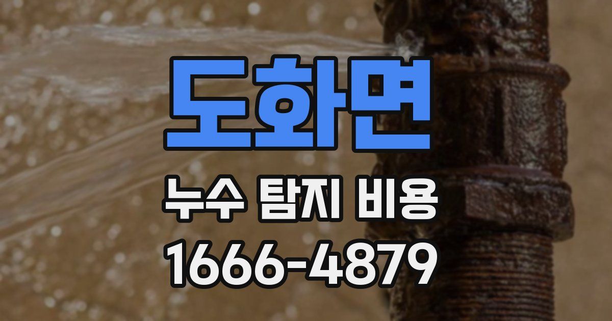 도화면 누수 탐지 비용