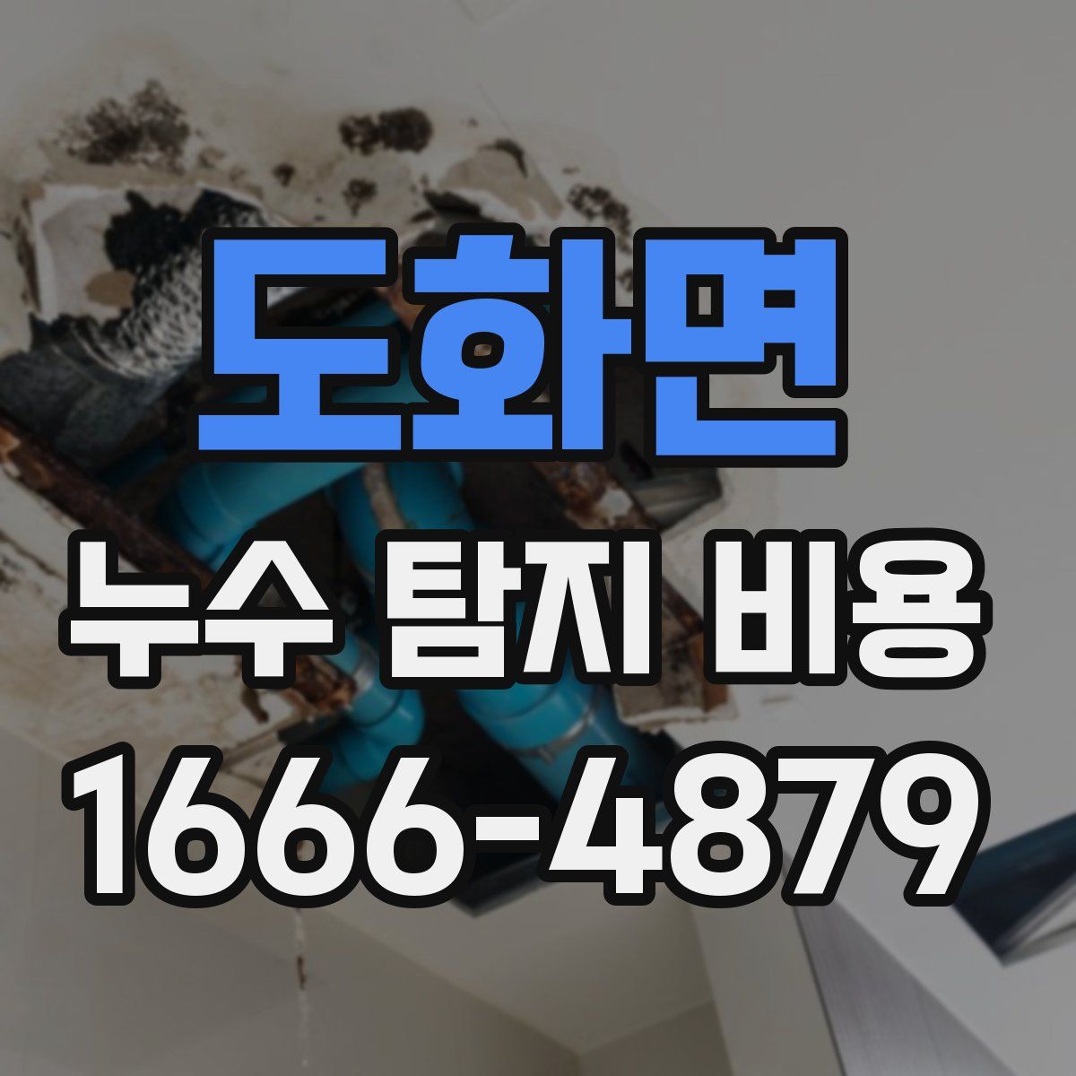 도화면 누수 탐지 비용