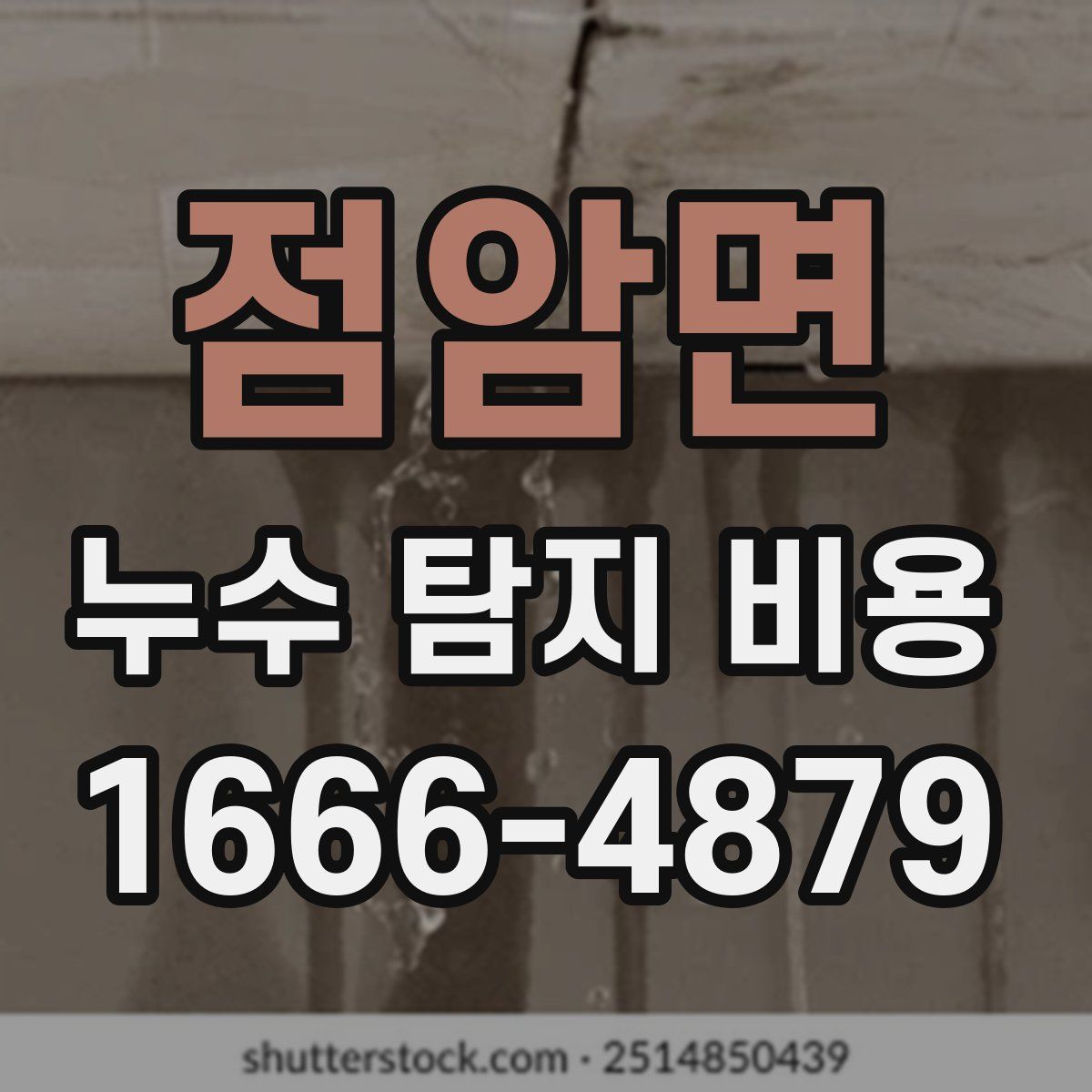 점암면 누수 탐지 비용