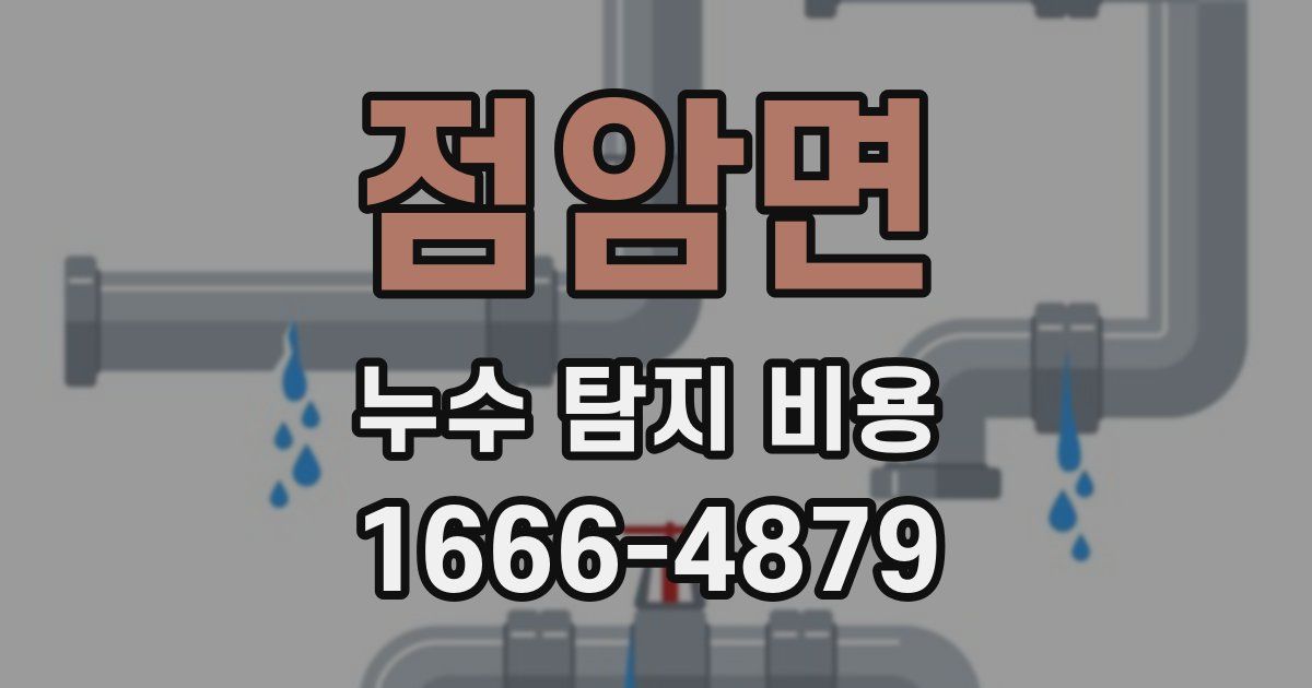 점암면 누수 탐지 비용