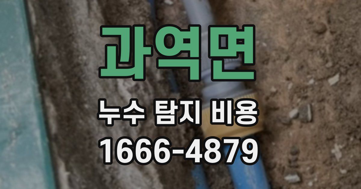 과역면 누수 탐지 비용