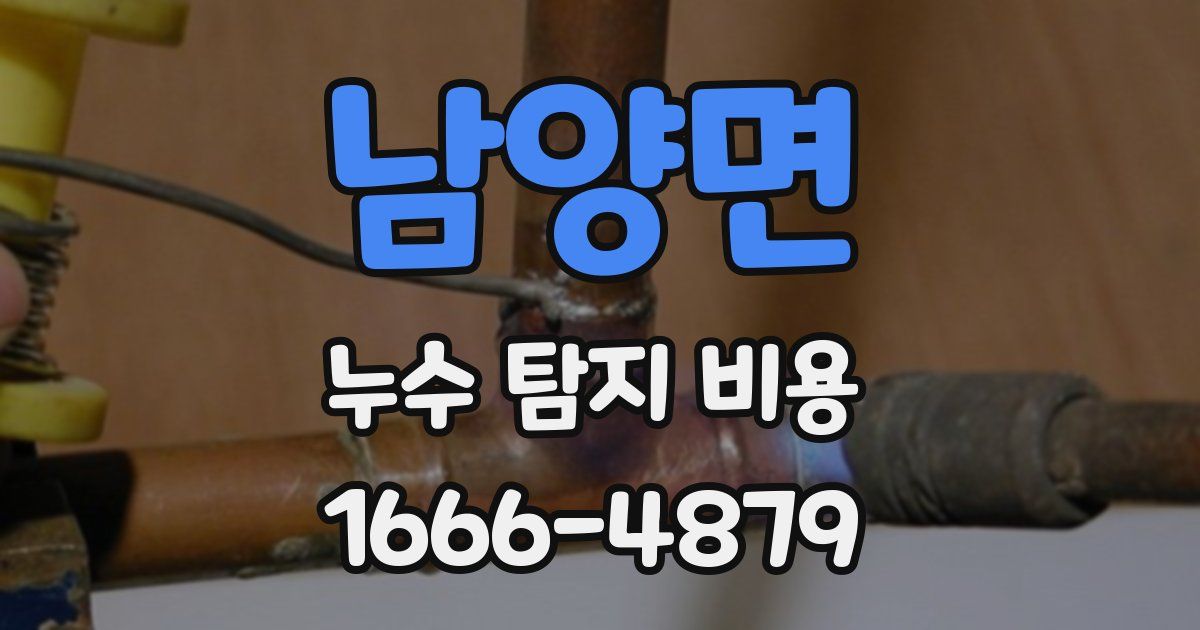 남양면 누수 탐지 비용