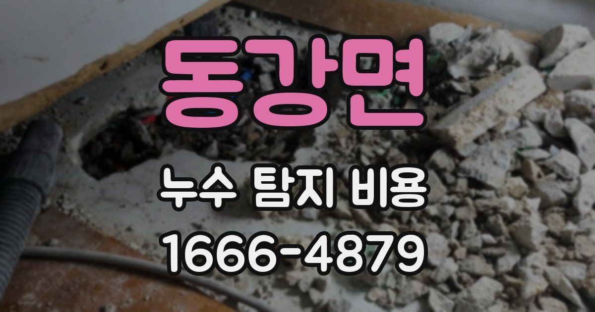동강면 누수 탐지 비용