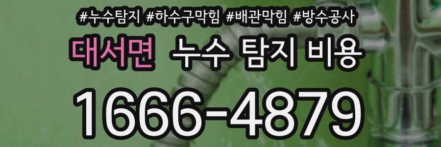 대서면 누수 탐지 비용