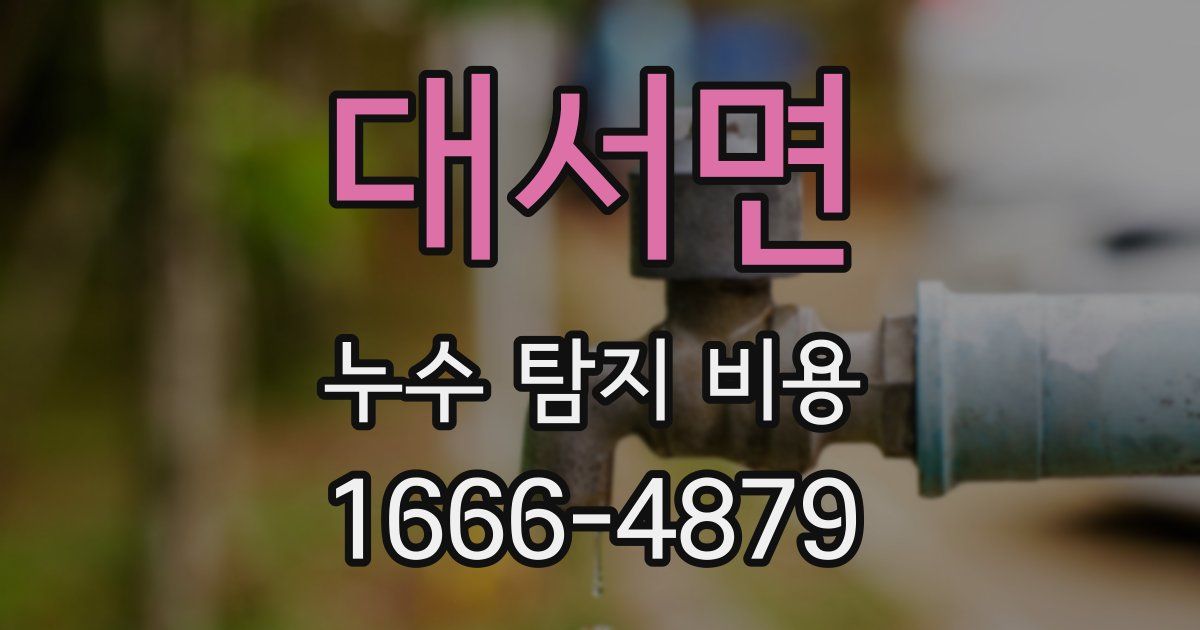 대서면 누수 탐지 비용