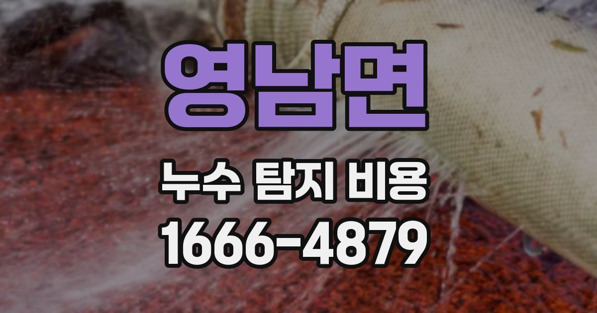 영남면 누수 탐지 비용