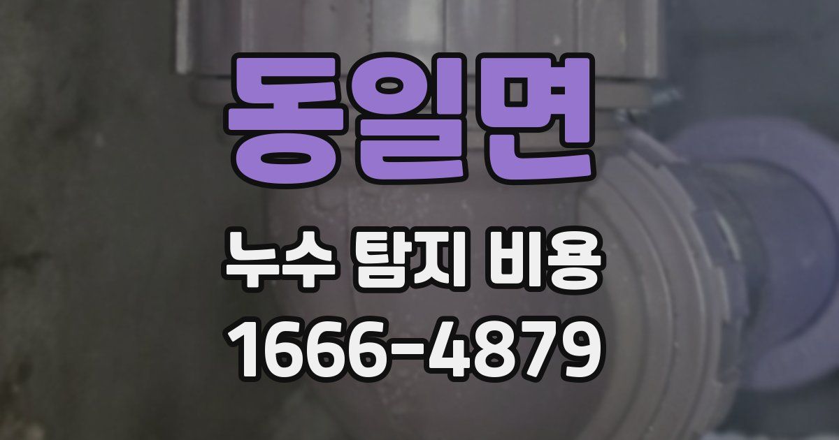 동일면 누수 탐지 비용