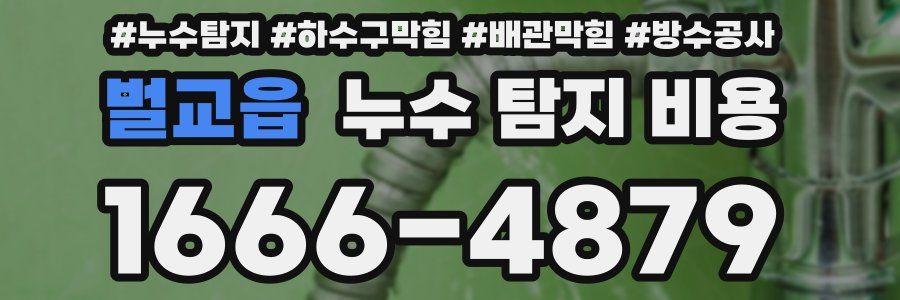 벌교읍 누수 탐지 비용