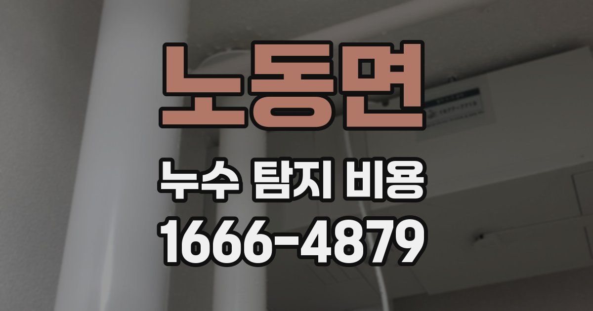 노동면 누수 탐지 비용