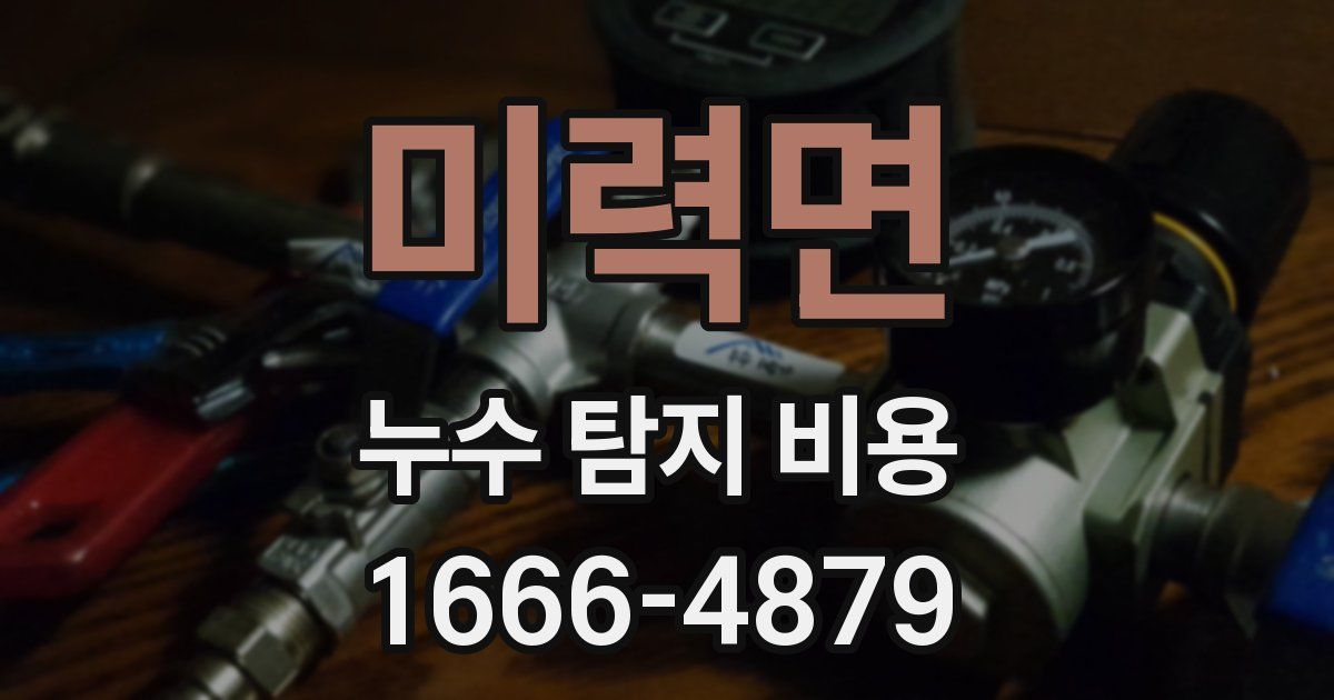 미력면 누수 탐지 비용