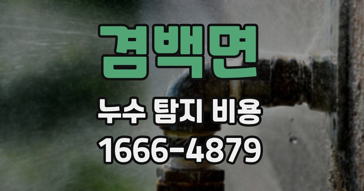 겸백면 누수 탐지 비용