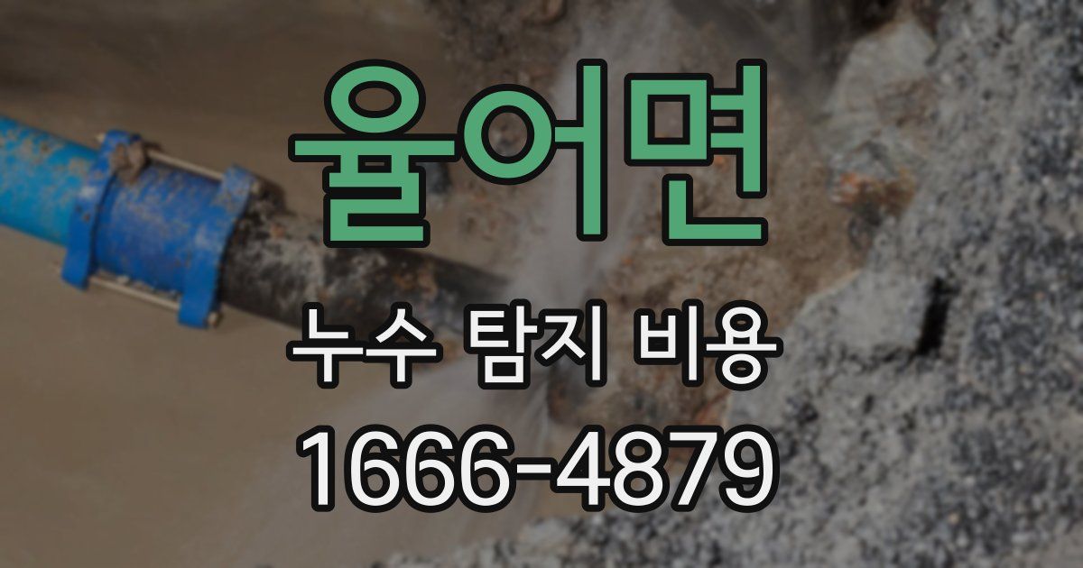 율어면 누수 탐지 비용