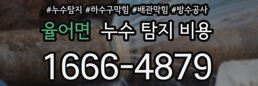 율어면 누수 탐지 비용