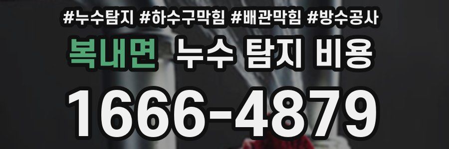 복내면 누수 탐지 비용