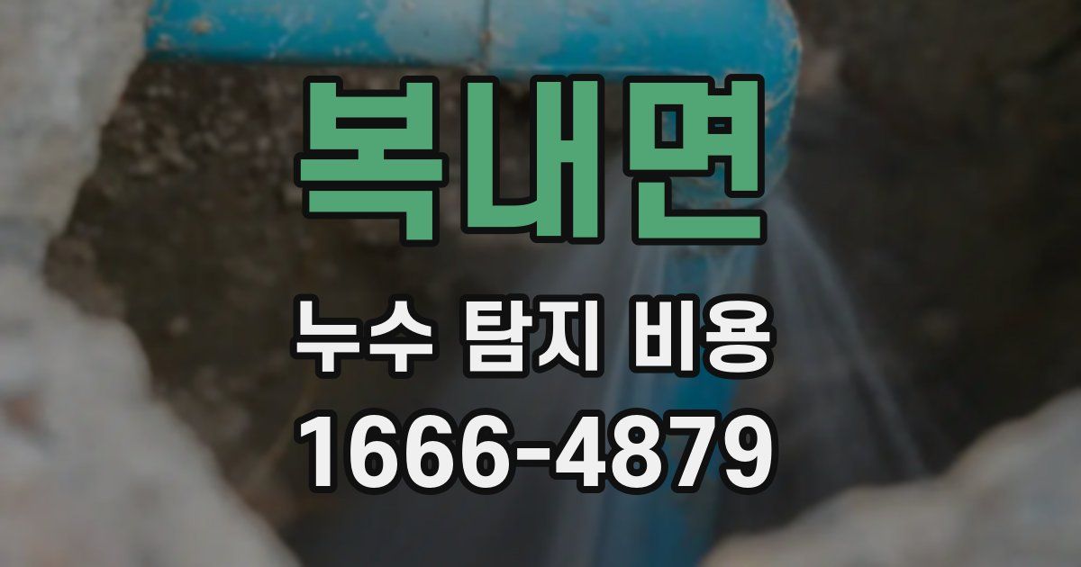 복내면 누수 탐지 비용