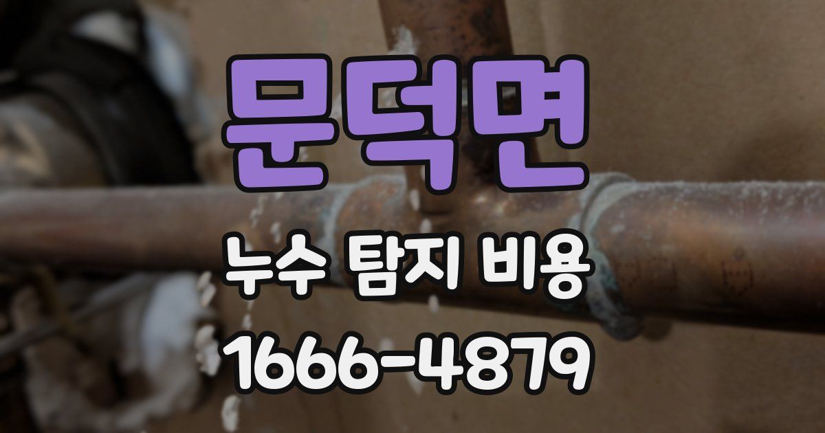 문덕면 누수 탐지 비용