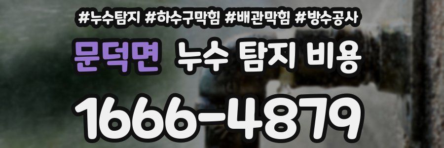 문덕면 누수 탐지 비용