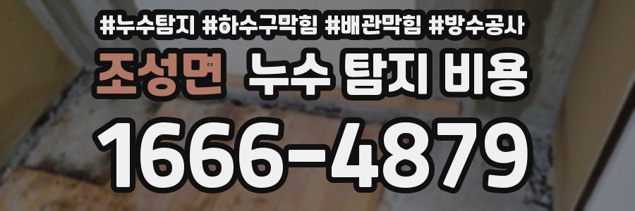 조성면 누수 탐지 비용