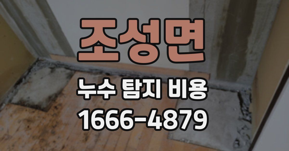 조성면 누수 탐지 비용