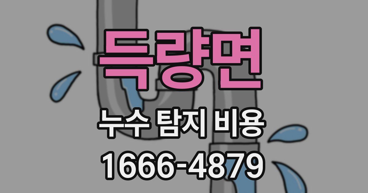득량면 누수 탐지 비용