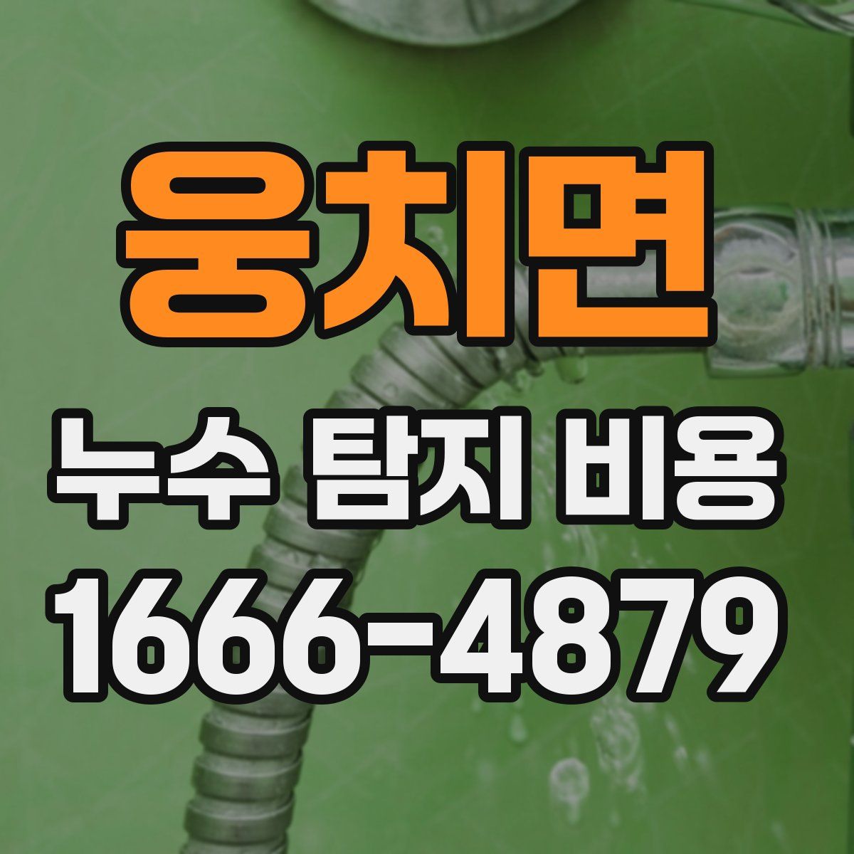 웅치면 누수 탐지 비용