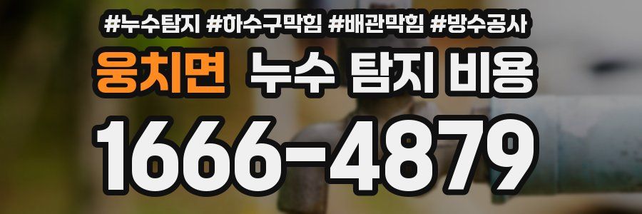 웅치면 누수 탐지 비용
