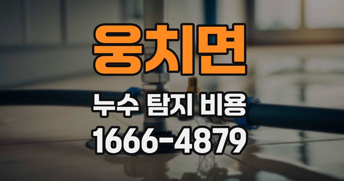 웅치면 누수 탐지 비용