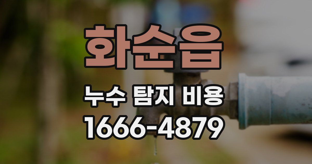 화순읍 누수 탐지 비용