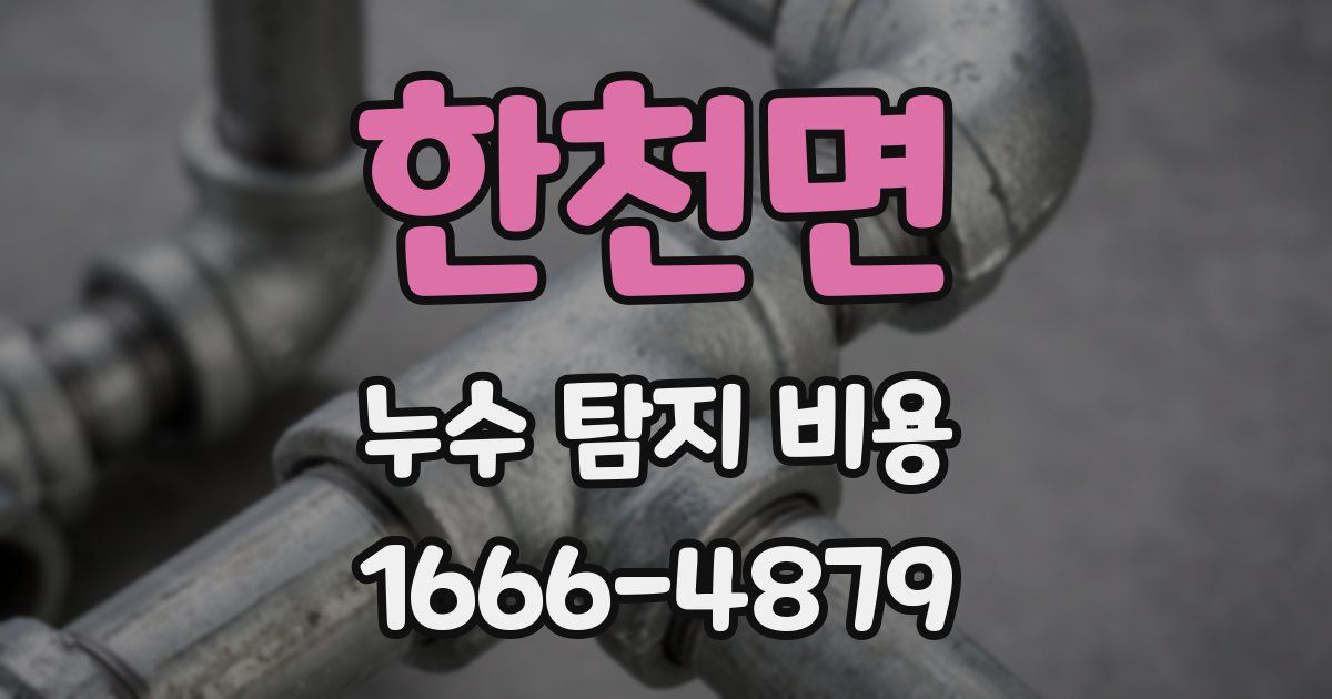 한천면 누수 탐지 비용