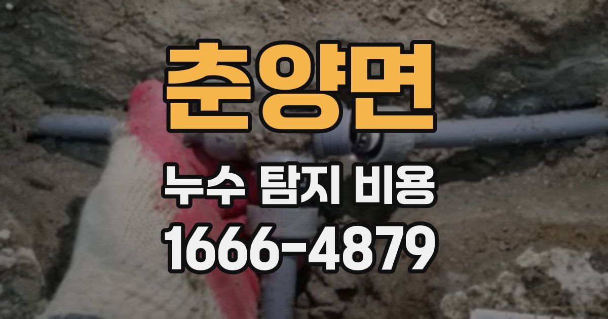 춘양면 누수 탐지 비용
