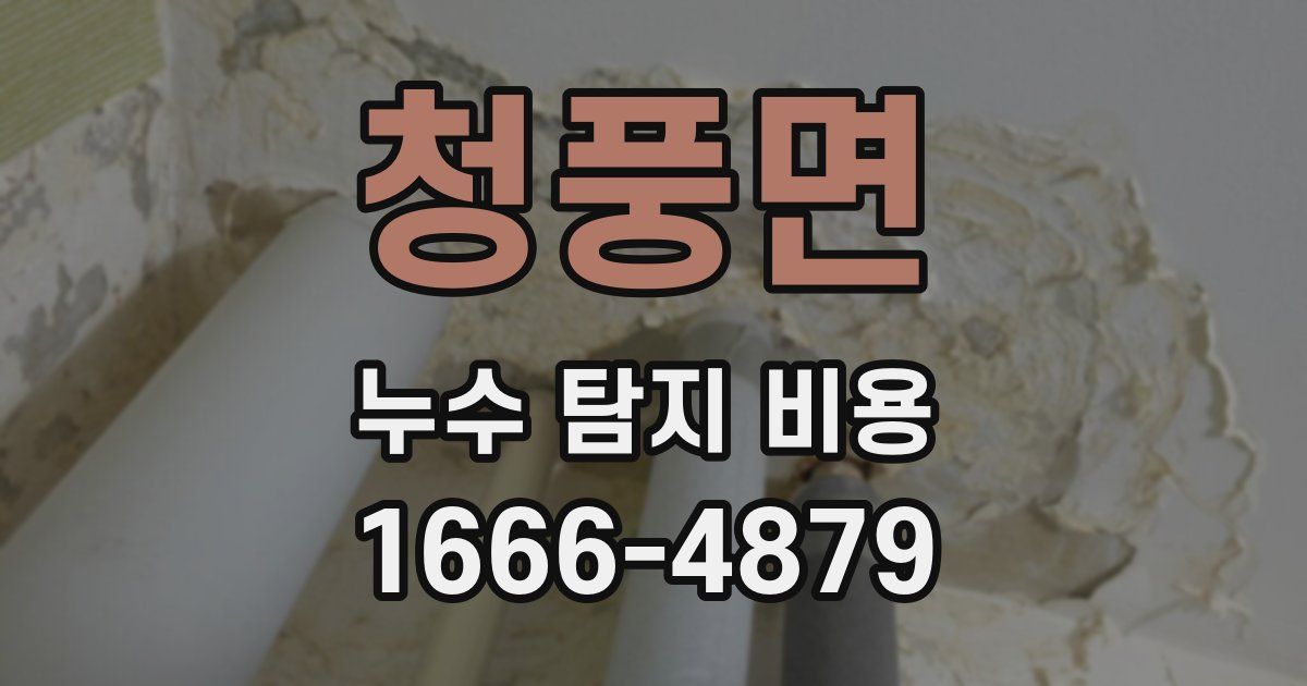 청풍면 누수 탐지 비용
