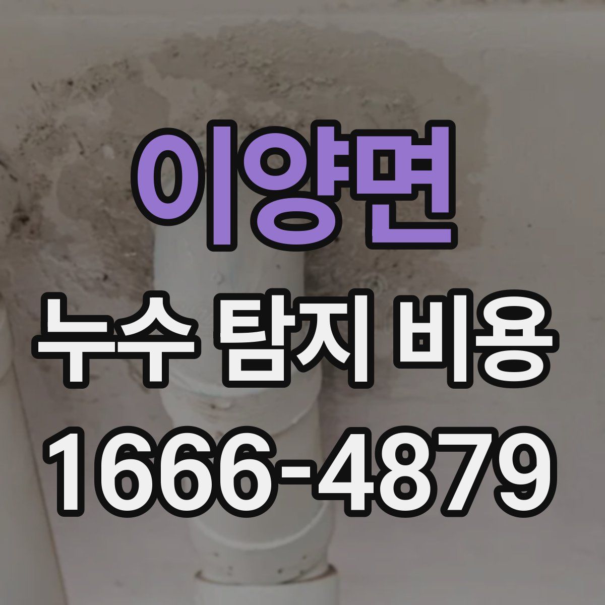 이양면 누수 탐지 비용