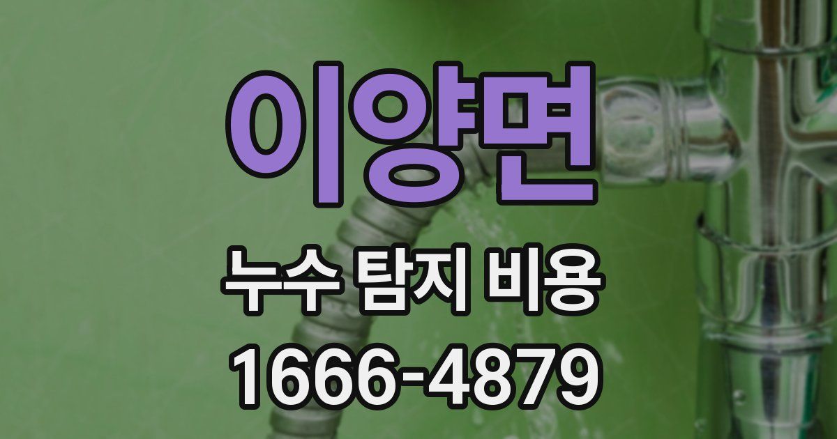 이양면 누수 탐지 비용