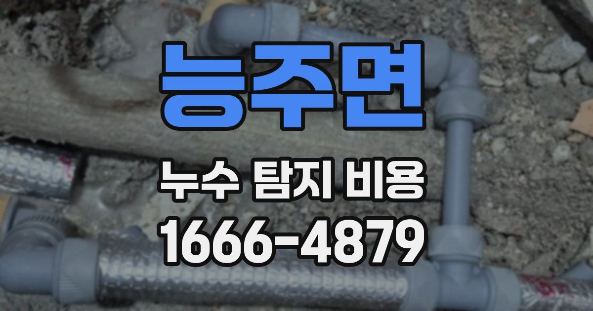 능주면 누수 탐지 비용