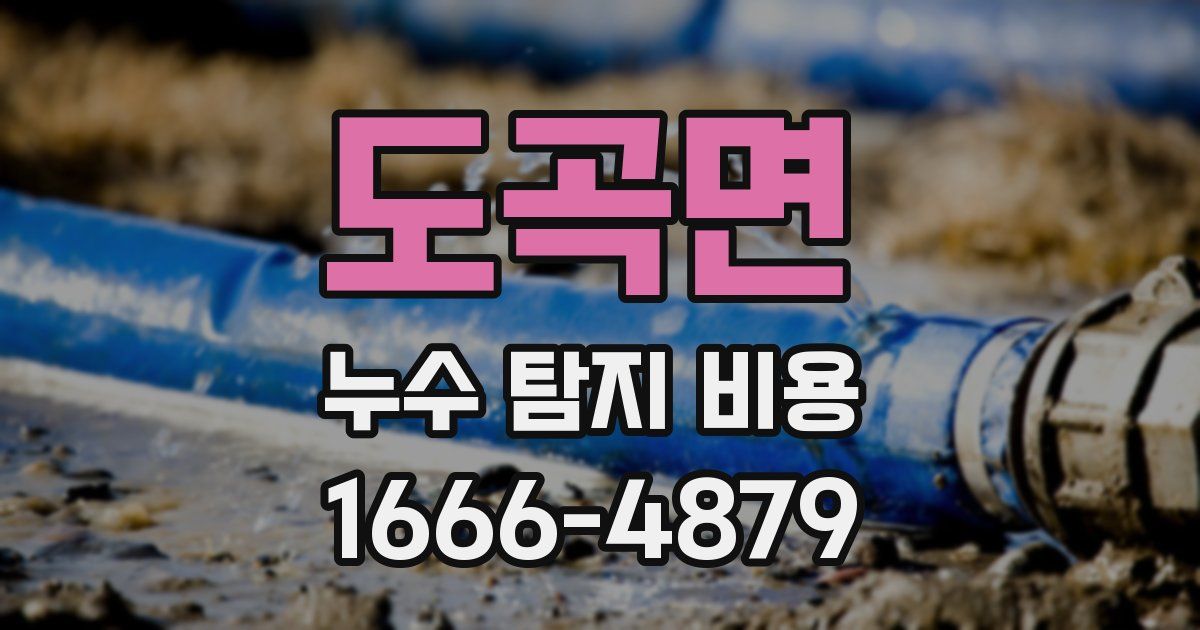 도곡면 누수 탐지 비용
