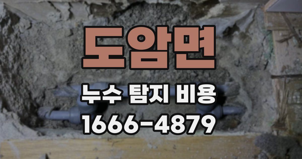 도암면 누수 탐지 비용