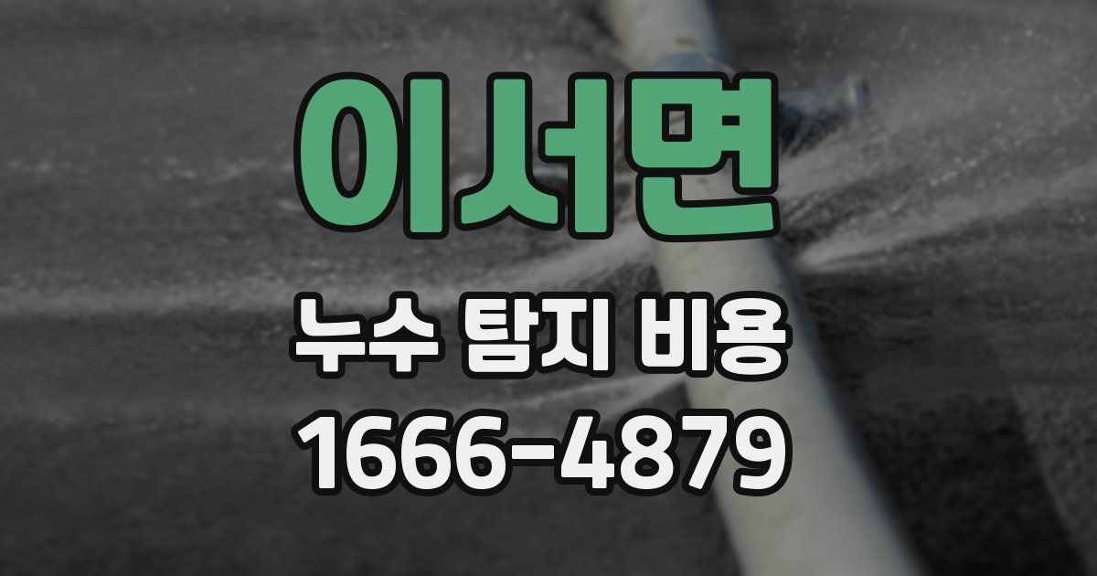 이서면 누수 탐지 비용