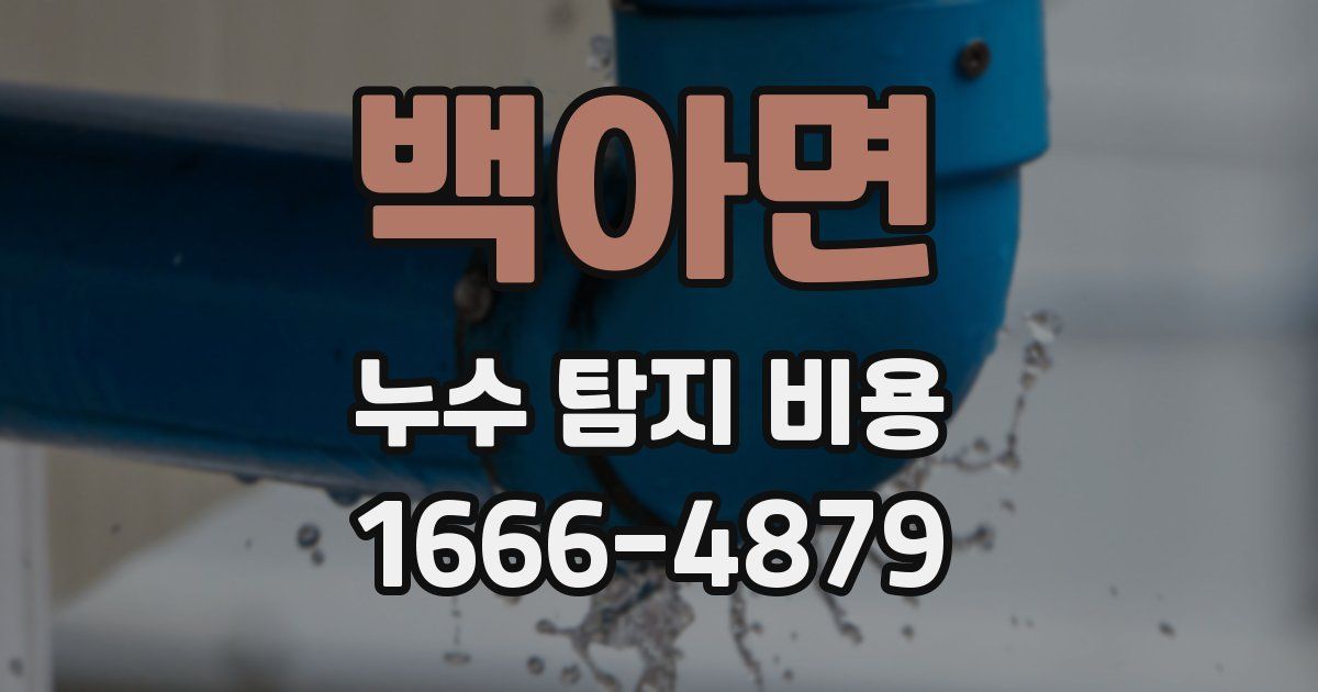 백아면 누수 탐지 비용