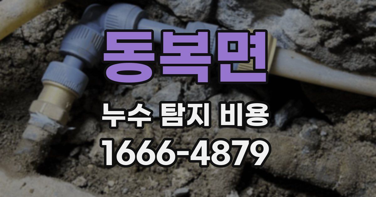 동복면 누수 탐지 비용