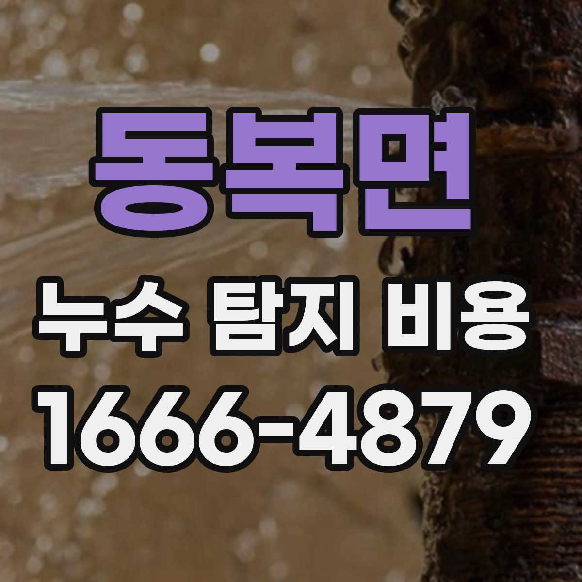 동복면 누수 탐지 비용