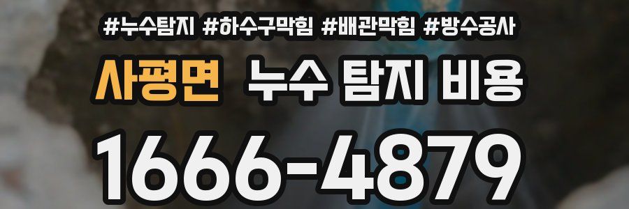 사평면 누수 탐지 비용