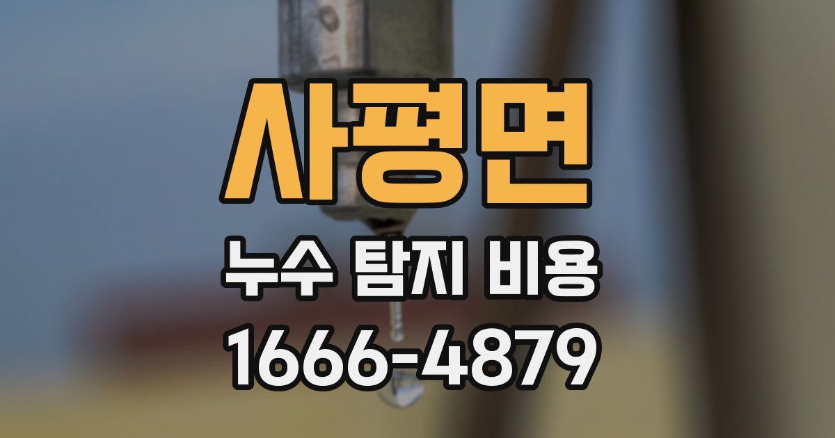 사평면 누수 탐지 비용