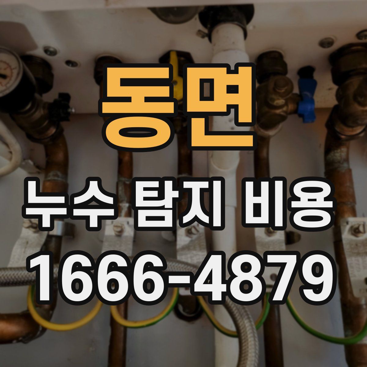동면 누수 탐지 비용