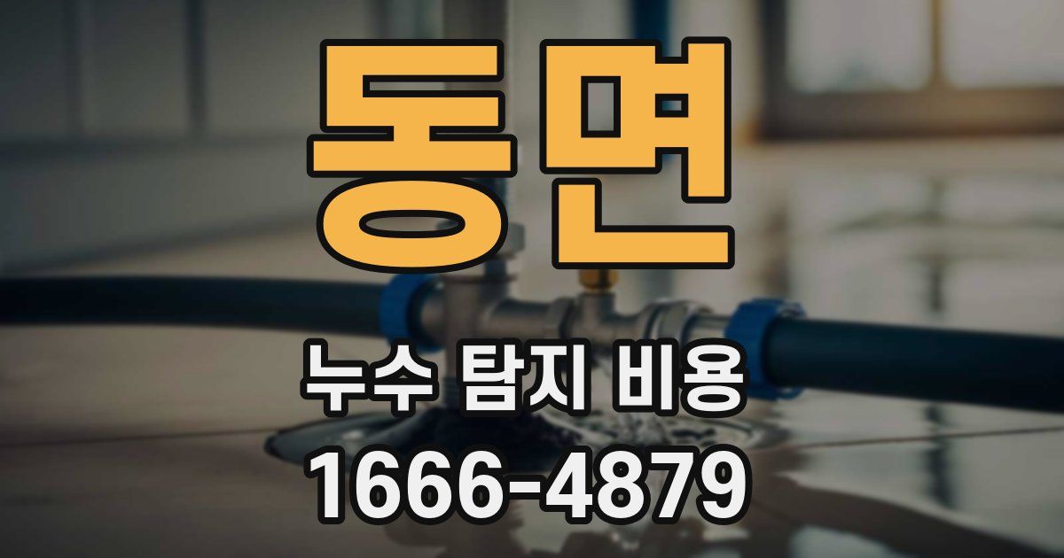 동면 누수 탐지 비용