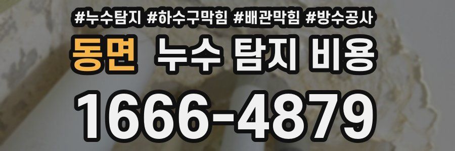 동면 누수 탐지 비용