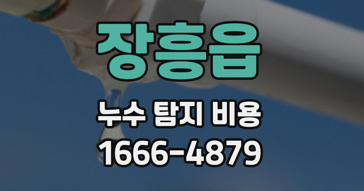 장흥읍 누수 탐지 비용