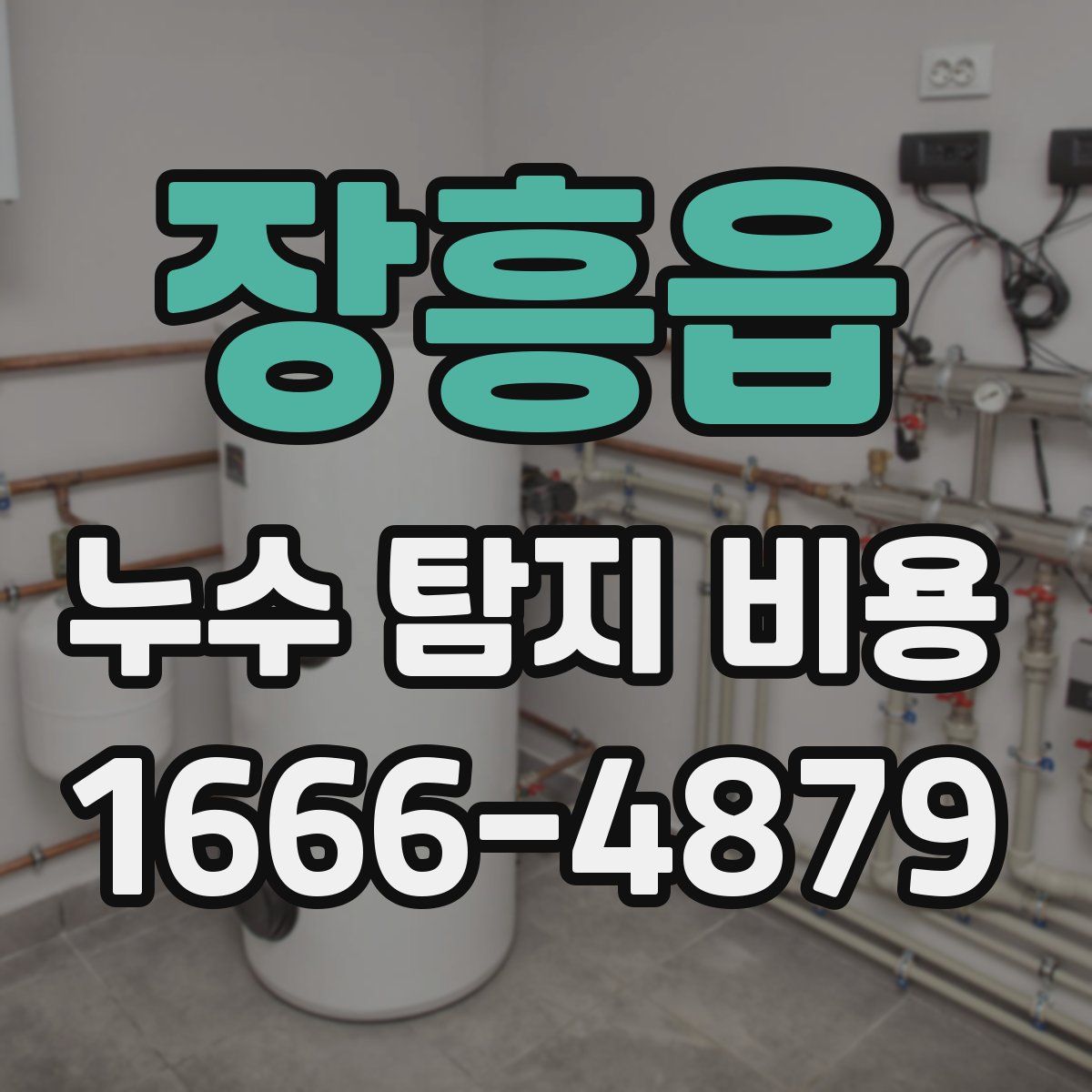 장흥읍 누수 탐지 비용