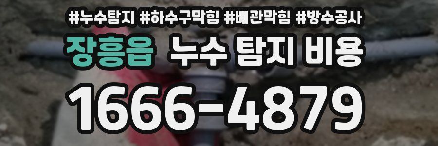 장흥읍 누수 탐지 비용